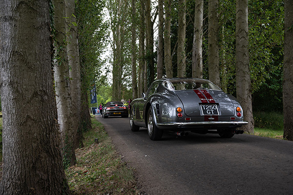 Grey Ferrari 250 driving in a forest